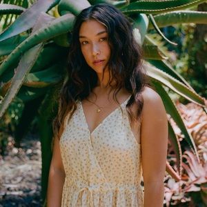 Christy Dawn Petite Lincoln Dress